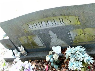 Stephen E. Driggers on Sysoon