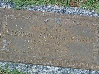 Stephen Michael Cavin on Sysoon