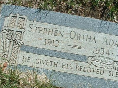 Stephen Ortha Adams on Sysoon