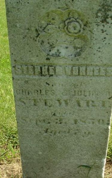 Stephen Vorhees Stewart on Sysoon