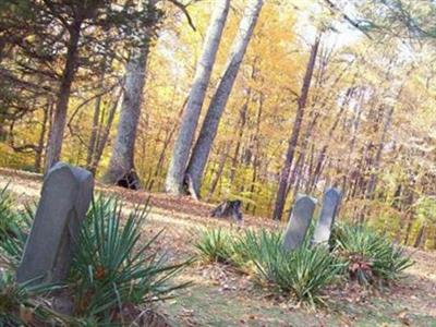 Stepp Cemetery on Sysoon