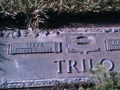Steve Trilo on Sysoon
