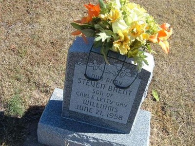 Steven Brent Williams on Sysoon