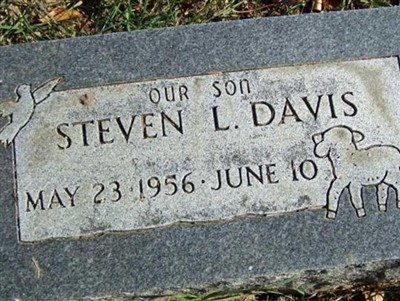 Steven L Davis on Sysoon