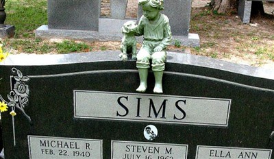 Steven M. Sims on Sysoon