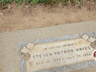 Steven Patrick Hayes on Sysoon