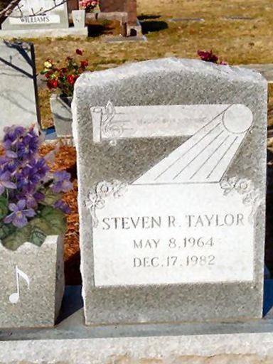 Steven R. Taylor on Sysoon