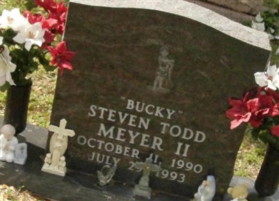 Steven Todd Meyer, II on Sysoon