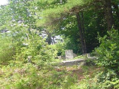 Stevens Family Burial Ground on Sysoon