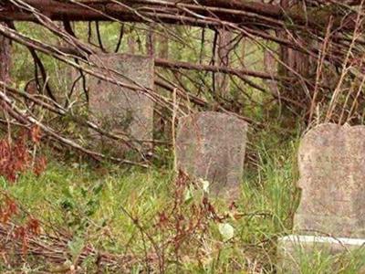 Stinson Family Graveyard on Sysoon