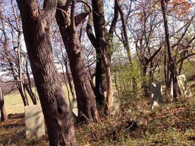 Stout-Shepherd Burial Ground on Sysoon