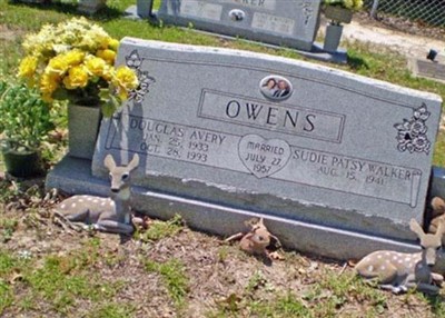 Sudie Patsy Walker Owens on Sysoon