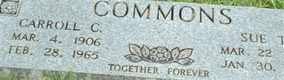 Sue T. Commons on Sysoon