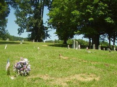 Surgoinsville Community Cemetery on Sysoon