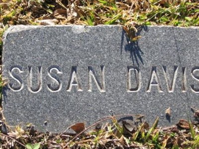 Susan Ann Cobbs Davis on Sysoon