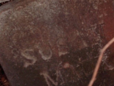 Susan Brewer Mauk on Sysoon