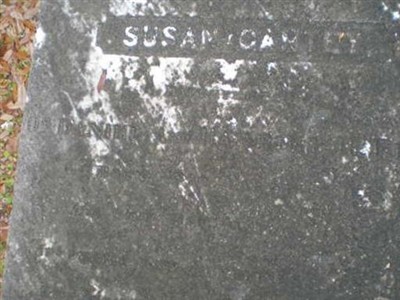 Susan Cantey Flud on Sysoon