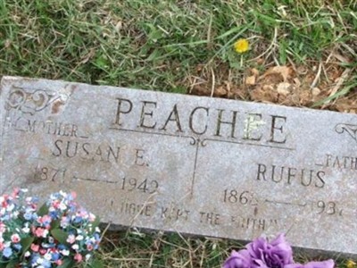 Susan Ellis Brandon Peachee on Sysoon