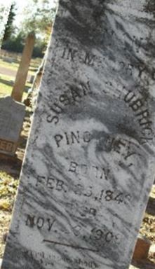 Susana Shubrick Hayne Pinckney on Sysoon