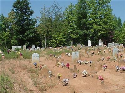 Swink Cemetery on Sysoon