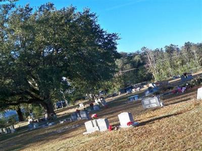 Sycamore Baptist Church Cemetery on Sysoon