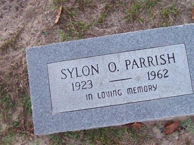 Sylon O. Parrish on Sysoon