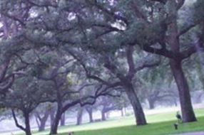 Sylvan Abbey Memorial Park on Sysoon