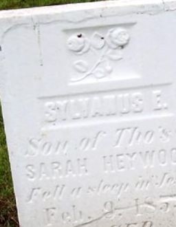 Sylvanus E. Heywood on Sysoon