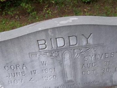 Sylvester Biddy on Sysoon