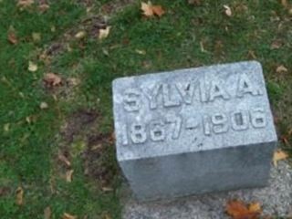 Sylvia A. Unknown on Sysoon