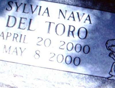 Sylvia Nava Del Toro on Sysoon