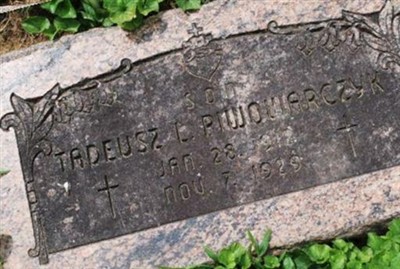 Tadeusz Piwowarczyk on Sysoon