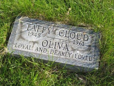 Taffy Cloud on Sysoon