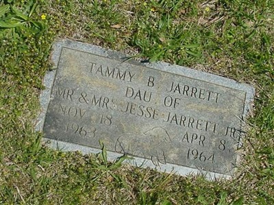 Tammy B. Jarrett on Sysoon