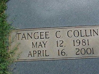 Tangee C. Collins on Sysoon