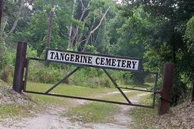 Tangerine Cemetery on Sysoon
