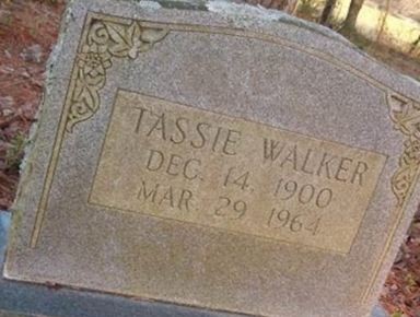 Tassie Walker on Sysoon