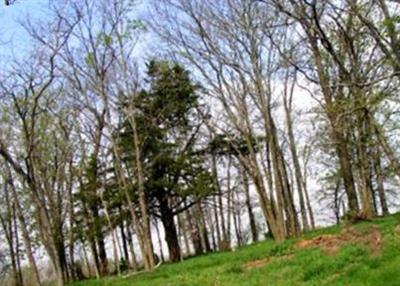 Taylor Cemetery on Sysoon