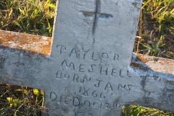 Taylor Meshell on Sysoon