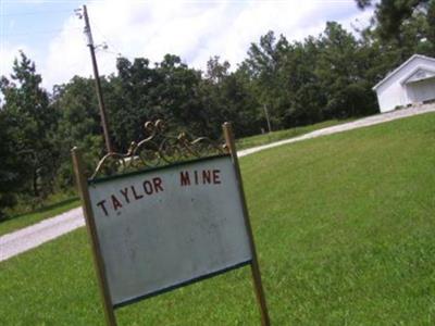 Taylor Mine Cemetery on Sysoon