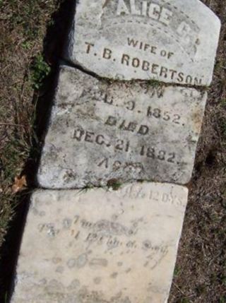 T. B. Robertson on Sysoon