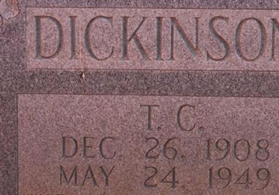 T.C. Dickinson on Sysoon