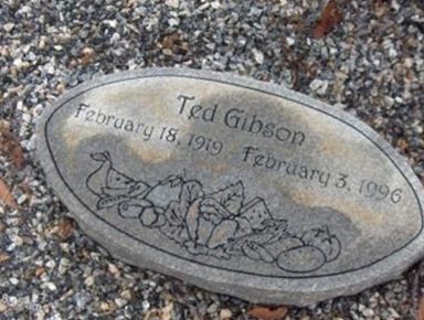 Ted Gibson on Sysoon