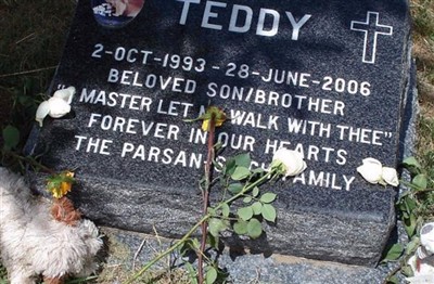 Teddy Parsan-Singh on Sysoon