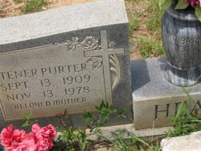Tener Purter Head on Sysoon