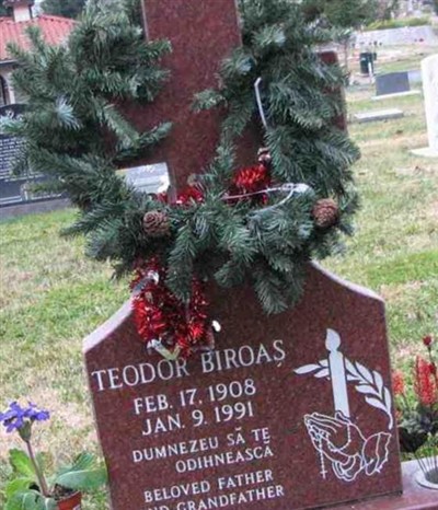Teodor Biroas on Sysoon