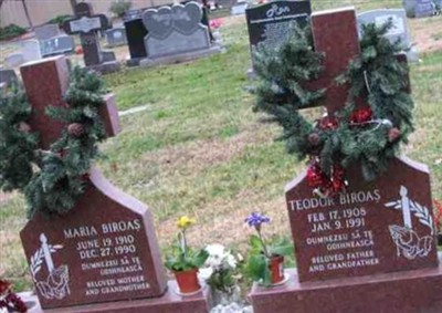 Teodor Biroas on Sysoon