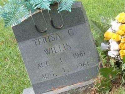 Teresa Glenda Willis on Sysoon