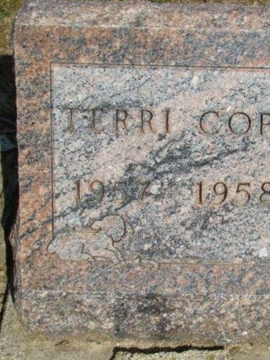 Terri L. Cope on Sysoon