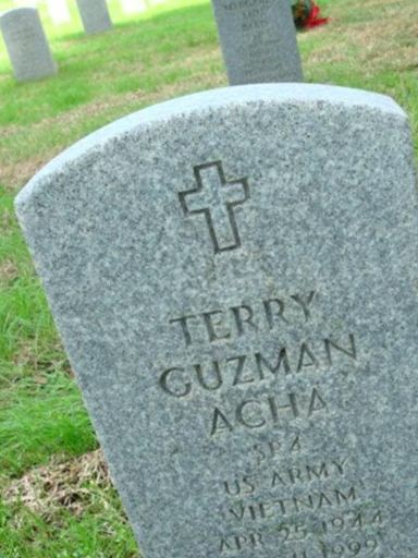 Terry Guzman Acha on Sysoon